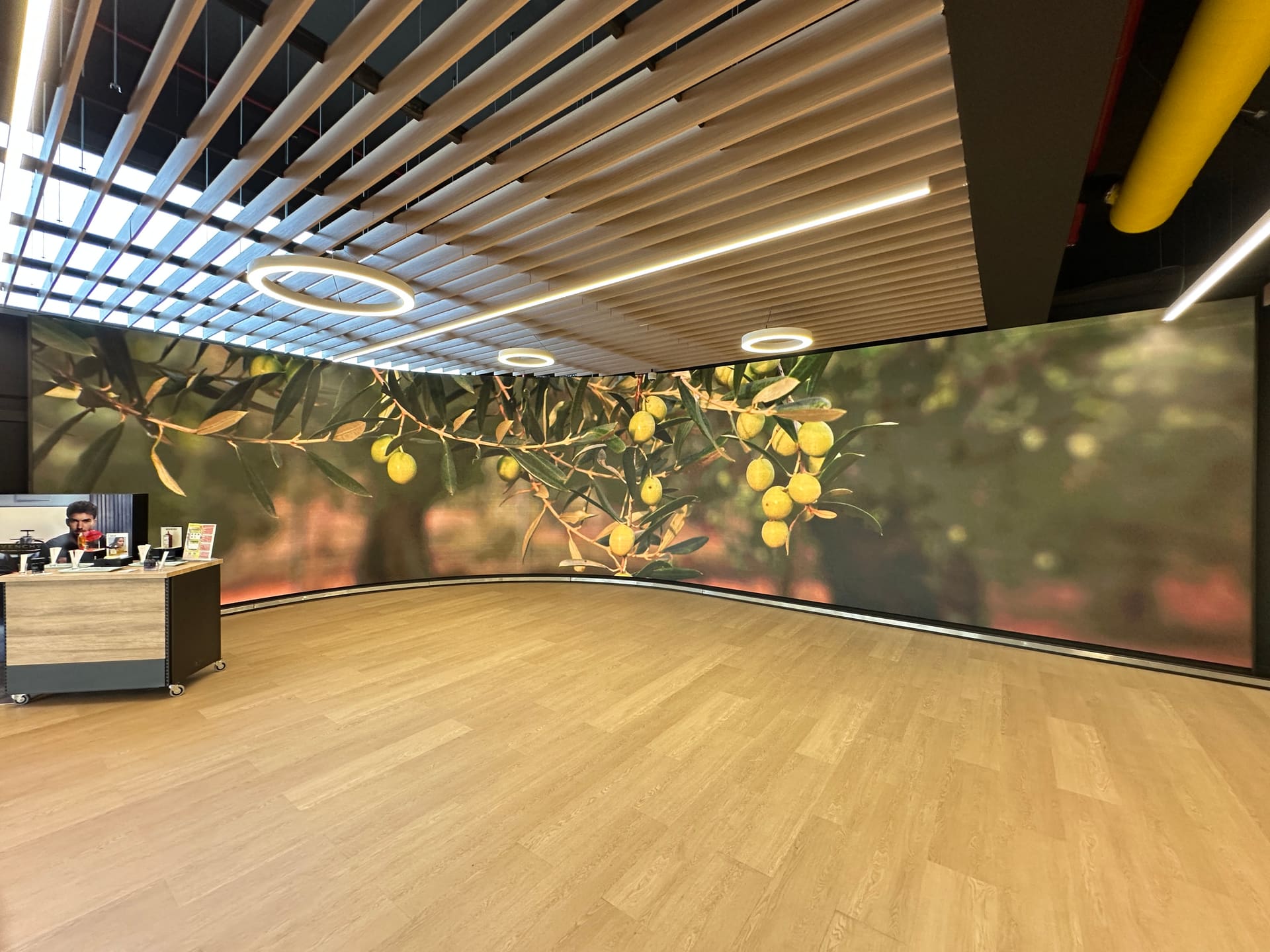 LED Display curvo para campaña de marca